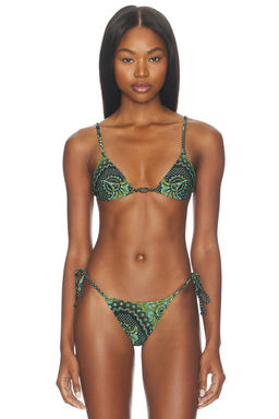 Tropic of C - Equator Bikini Top