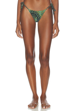 Tropic of C - Praia Bikini Bottom