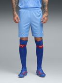 Blue color option, Currently selected