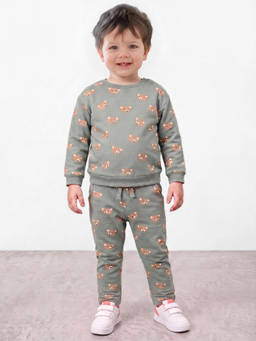 R&B - Boys Green Pure Cotton Teddy Print Sweatshirt and Pant