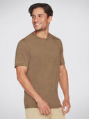 Brown 1