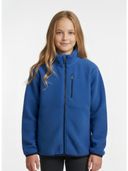 Blue color option, Currently selected