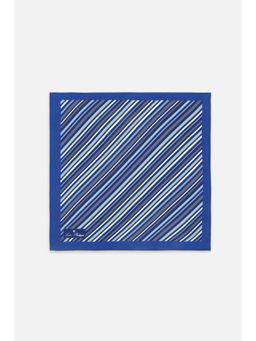 Louis Philippe - Men Stripes Casual Blue Necktie Accessory Gift Set