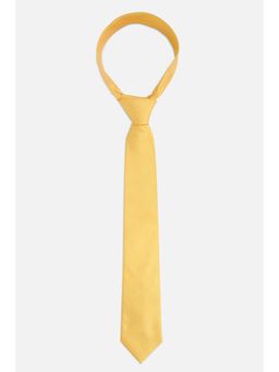 Van Heusen - Men Embroidered Formal Yellow Tie
