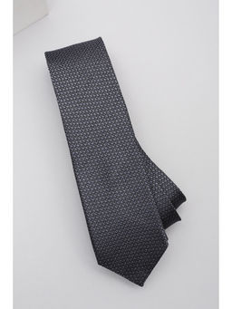 Peter England - Men Embroidered Grey Tie