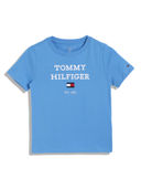 Blue color option, Sold out, Currently selected