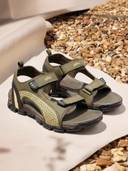 Olive color option