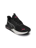 Black color option, Sold out
