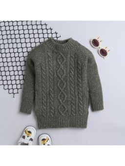 Yellow Apple - Stylish Winter Wear Sweater For Boys -Olive