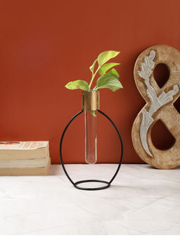 VarEesha - Black Flora Iron Planter with Glass Tube (Set of 2)