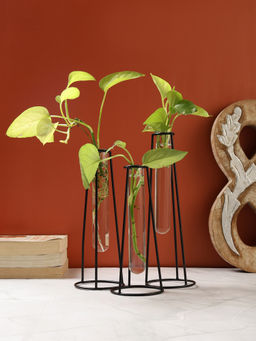 VarEesha - Black Flora Iron Planter with Glass Tube (Pack of 3)