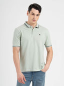 Green color option, Currently selected