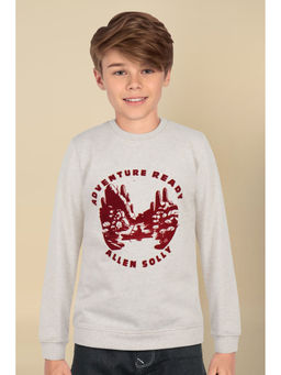 Allen Solly - Boys Beige Print Regular Fit Sweatshirt