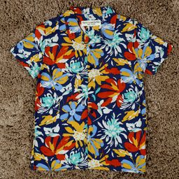 The Lion and the Fish - Print Shirt Multicolor