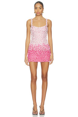 La Fuori - Pink Petal Ombre Embroidered Dress