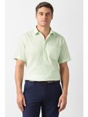 Green color option, Currently selected