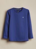 Blue color option, Currently selected