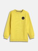 Yellow color option, Currently selected
