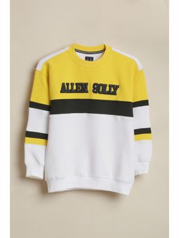 Allen Solly - Boys White Colorblock Sweatshirt