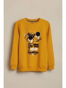Allen Solly - Boys Yellow Graphic Sweatshirt