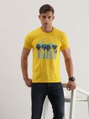 Yellow color option, Sold out