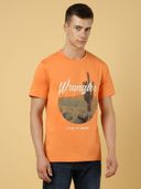 Orange color option, Sold out