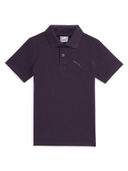 Purple color option, Currently selected