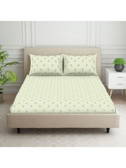 SPACES - 100% Cotton 144 TC Green 1 Fitted Bedsheet with 2 Pillow Covers (King)