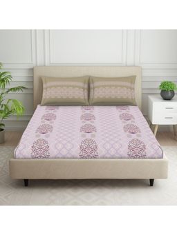 SPACES - 100% Cotton 144 TC Light Pink 1 Fitted Bedsheet with 2 Pillow Covers (King)