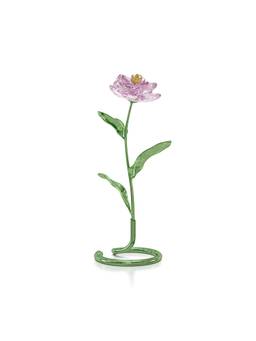 SWAROVSKI - Florere Peony Showpiece