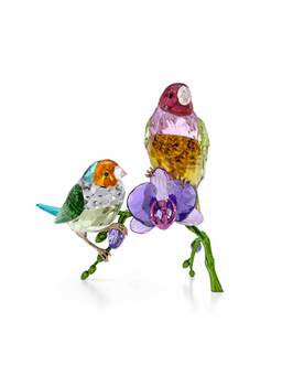 SWAROVSKI - Idyllia SCS Annual Edition 2024 Gouldian Finches Showpiece