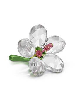 SWAROVSKI - Florere Hibiscus Showpiece (Small)