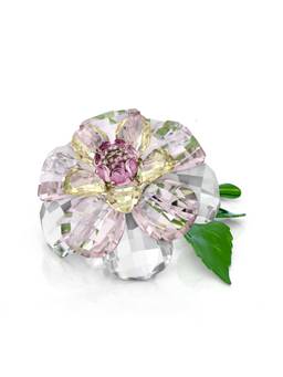 SWAROVSKI - Florere Camellia Showpiece