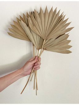 Vanchai - Natural Palm Leaf 12"- Pack of 5 Dried Flowers, Vase Filler For Home Decor