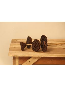 Vanchai - Lotus Pod 12"- Pack of 5 Dried Flowers, Vase Filler For Home Decor