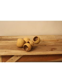 Vanchai - Palm Cup 12" - Pack of 5 Dried Flowers, Vase Filler For Home Decor