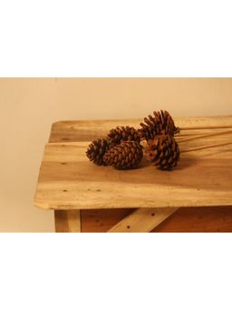 Vanchai - Natural Pine Cones 12"- Pack of 5 Dried Flowers, Vase Filler For Home Decor