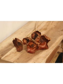 Vanchai - Tall Base Dry Flowers 12" - Pack of 4, Vase Filler For Home Decor