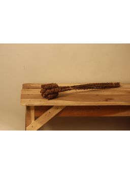 Vanchai - Natural Tail Cylinder 12"- Pack of 5 Dried Flowers, Vase Filler For Home Decor