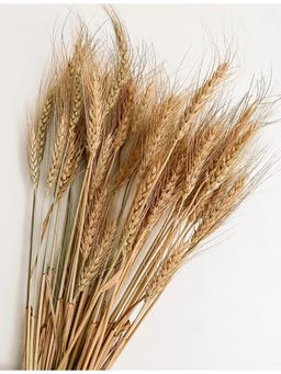 Vanchai - Natural Dried Wheat Sheaves - 25 Stems, Vase Filler For Home Decor