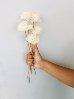 Vanchai - Dahlia Sola Flower Pack of 5 Dried Flowers, Vase Filler For Home Decor