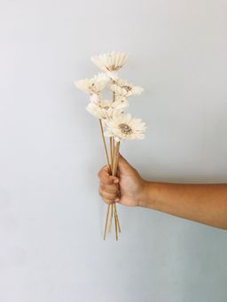 Vanchai - Sun Flower Sola Flower Pack of 5 Dried Flowers, Vase Filler For Home Decor