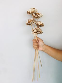 Vanchai - Almond Rose Sola Flower Pack of 5 Dried Flowers, Vase Filler For Home Decor