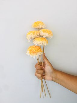 Vanchai - Yellow Ombre Zinnia Sola Flower Pack of 5 Dried Flowers, Vase Filler For Home Decor