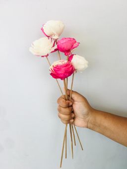 Vanchai - Sola Flower Pack of 5 Dried Flowers, Vase Filler For Home Decor