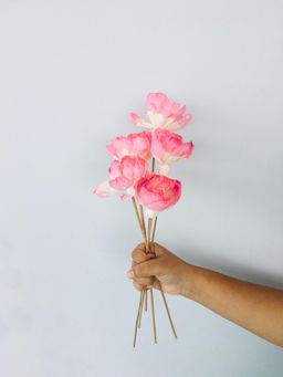 Vanchai - Barbie Pink Sola Flower Pack of 5 Dried Flowers, Vase Filler For Home Decor