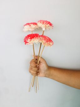 Vanchai - Sola Flower Pack of 5 Dried Flowers, Vase Filler For Home Decor