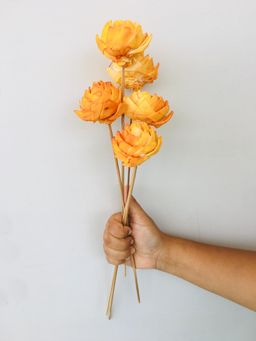 Vanchai - Ombre Ochre Sola Flower Pack of 5 Dried Flowers, Vase Filler For Home Decor