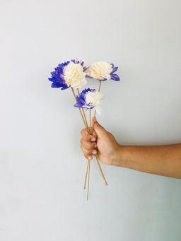 Vanchai - Dahlia Sola Flower Pack of 5 Dried Flowers, Vase Filler For Home Decor