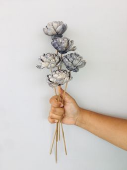 Vanchai - Chambray Sola Flower Pack of 5 Dried Flowers, Vase Filler For Home Decor